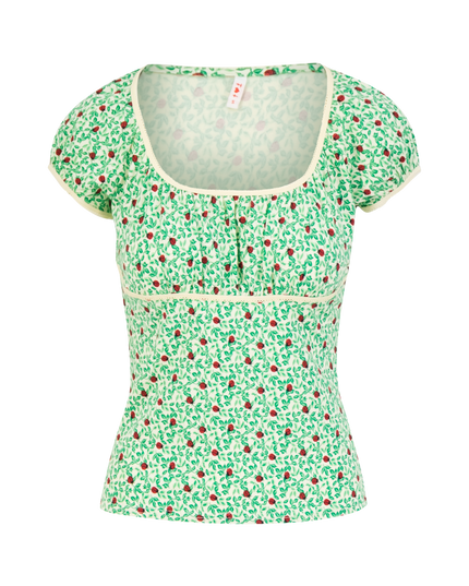 BLUTSGESCHWISTER FLOR FERDE, JOANINHA FOLHOSA