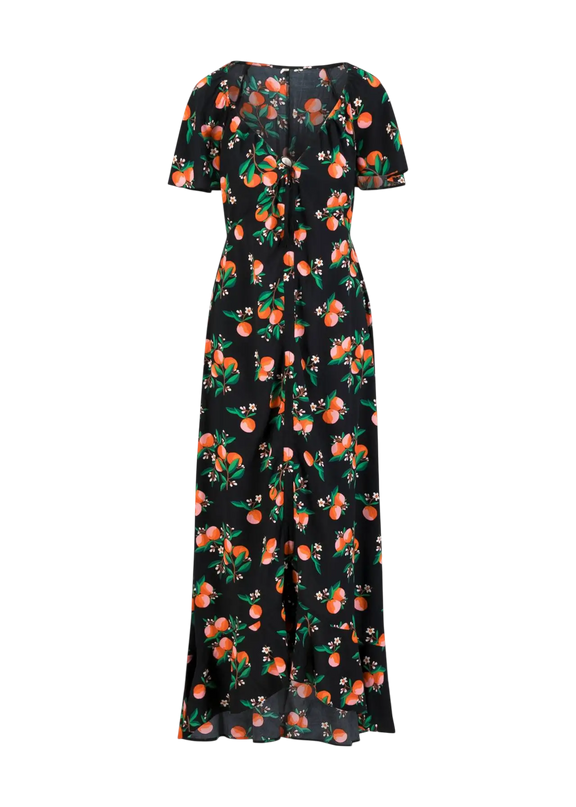 BLUTSGESCHWISTER SUNSET GODDESS, ORANGE GROVE