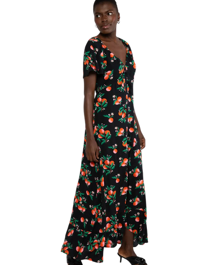 BLUTSGESCHWISTER SUNSET GODDESS, ORANGE GROVE