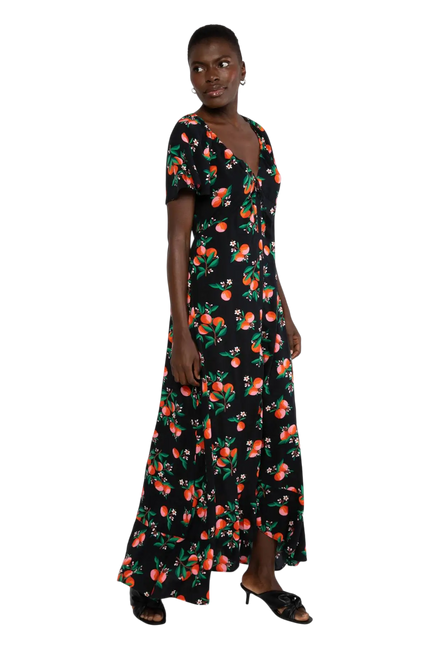 BLUTSGESCHWISTER SUNSET GODDESS, ORANGE GROVE