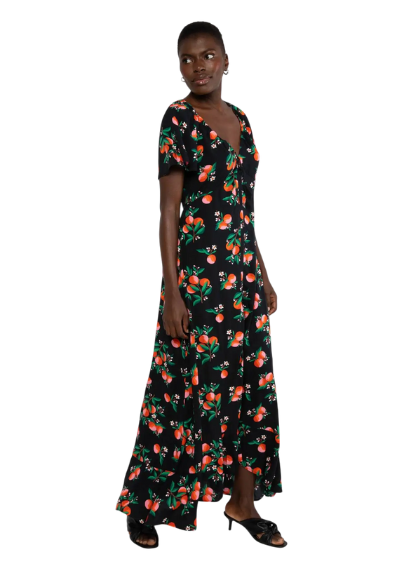 BLUTSGESCHWISTER SUNSET GODDESS, ORANGE GROVE