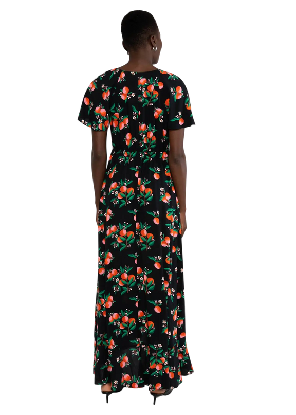 BLUTSGESCHWISTER SUNSET GODDESS, ORANGE GROVE
