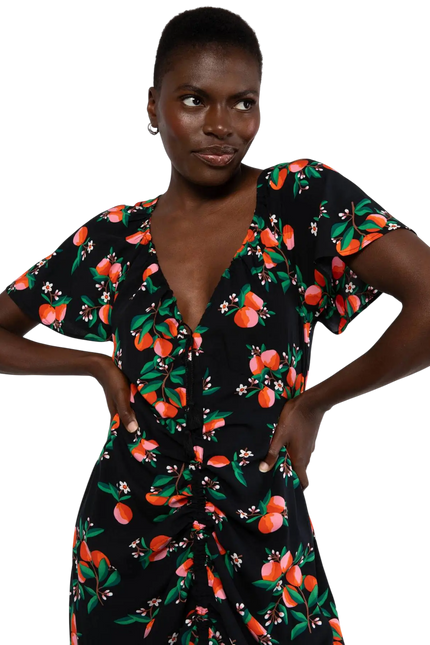 BLUTSGESCHWISTER SUNSET GODDESS, ORANGE GROVE
