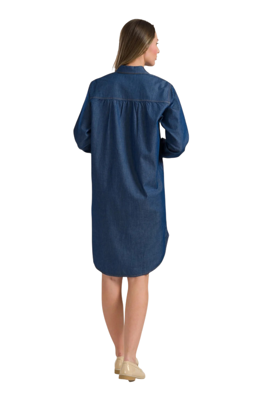 jane Shirt Dress