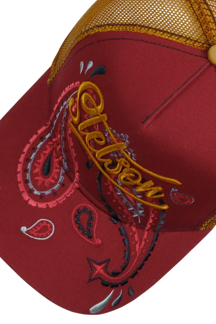 STETSON paisley