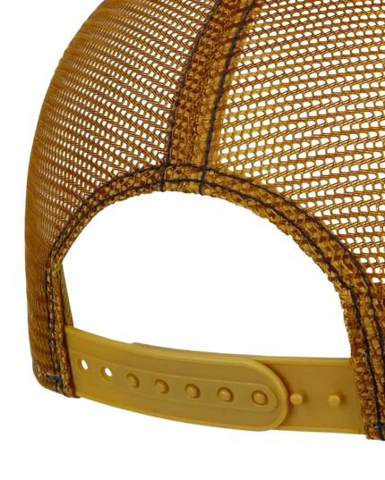 STETSON paisley