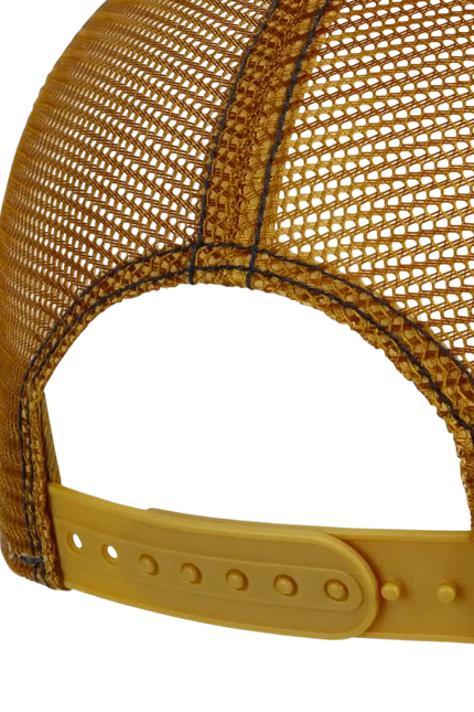 STETSON paisley