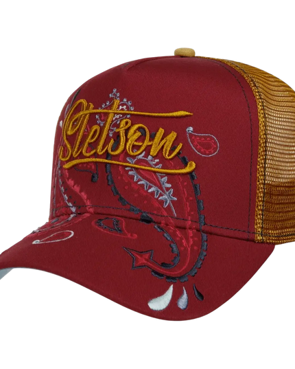 STETSON paisley