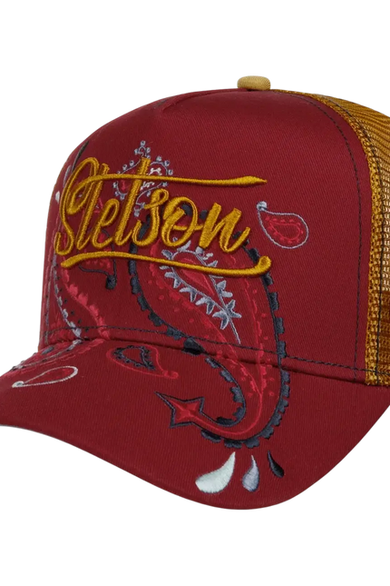 STETSON paisley