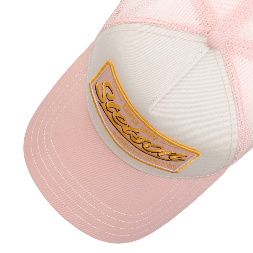 American Heritage since 1865