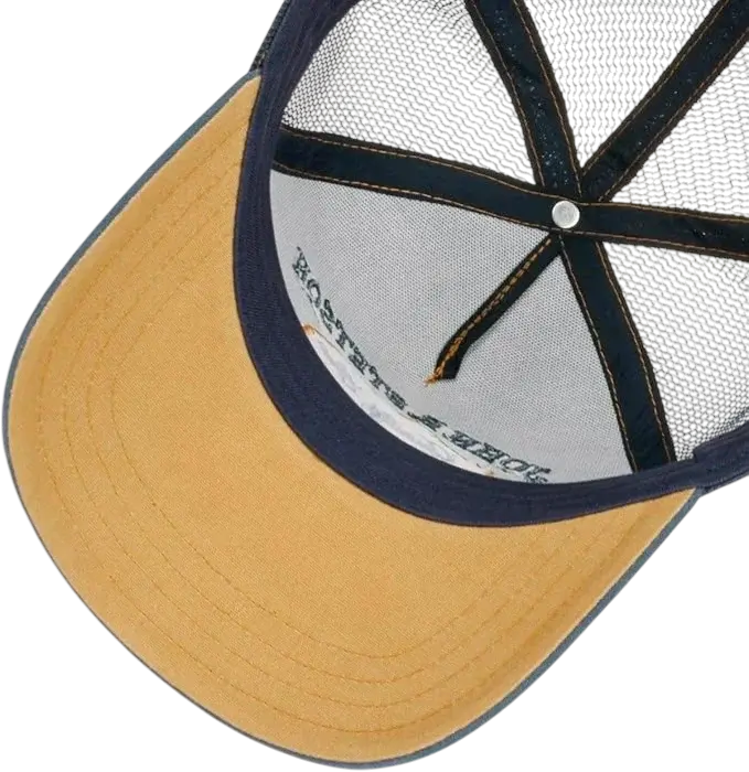STETSON niedźwiedź