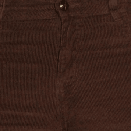 Flare Corduroy Brown