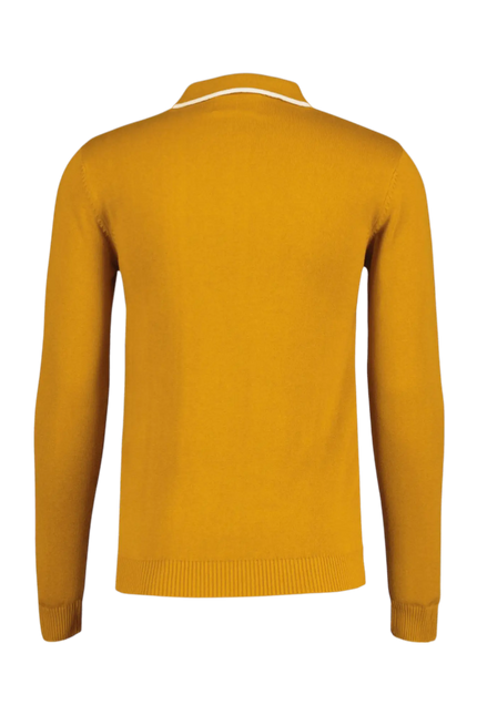 Junot Mod Waffle Stripe Panel Knit Polo Buckthorne