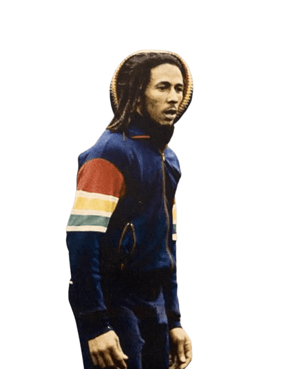 TROJAN Jaqueta esportiva Marley com manga listrada