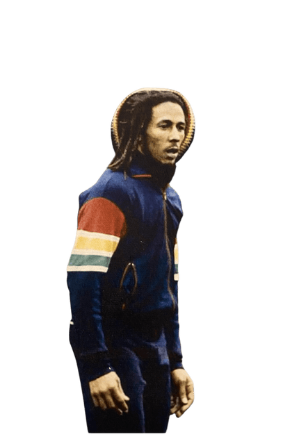 TROJAN Marley Stripe Sleeve Track Top