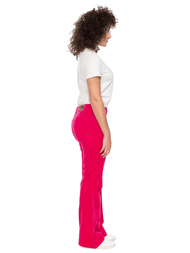 Newton – Pana Rosa