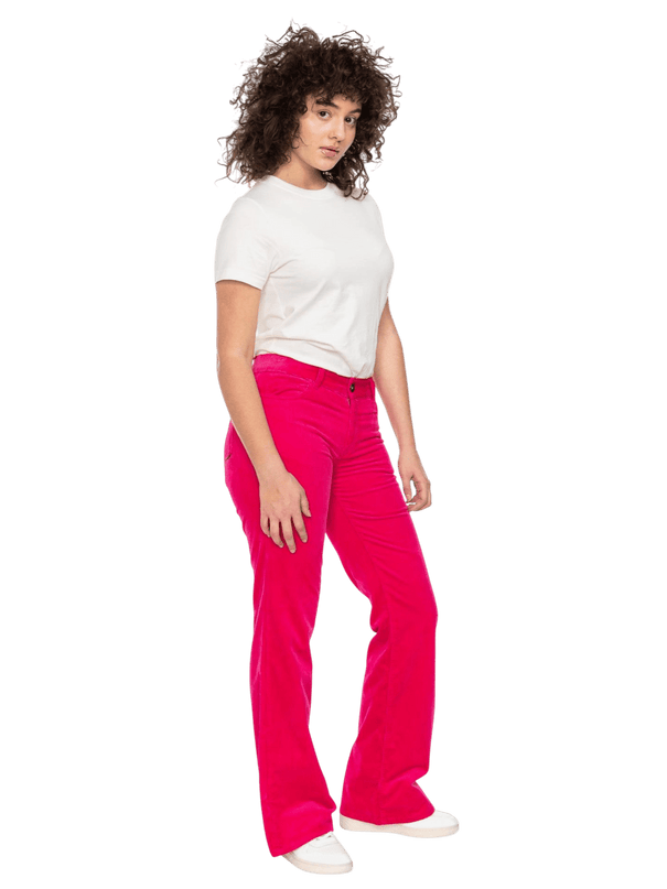 Newton – Pana Rosa
