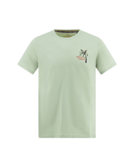 T-shirt z malowaniem palmy zielony