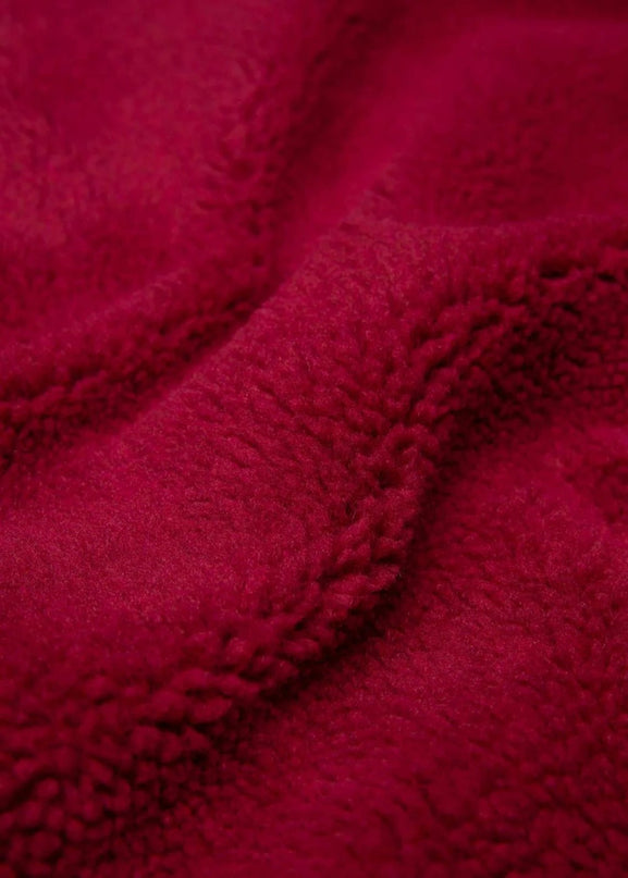Teddy Rose Flower Red
